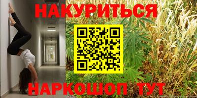 индика Нальчик