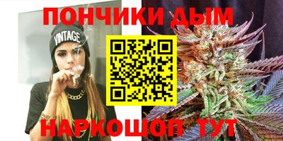 индика Нальчик